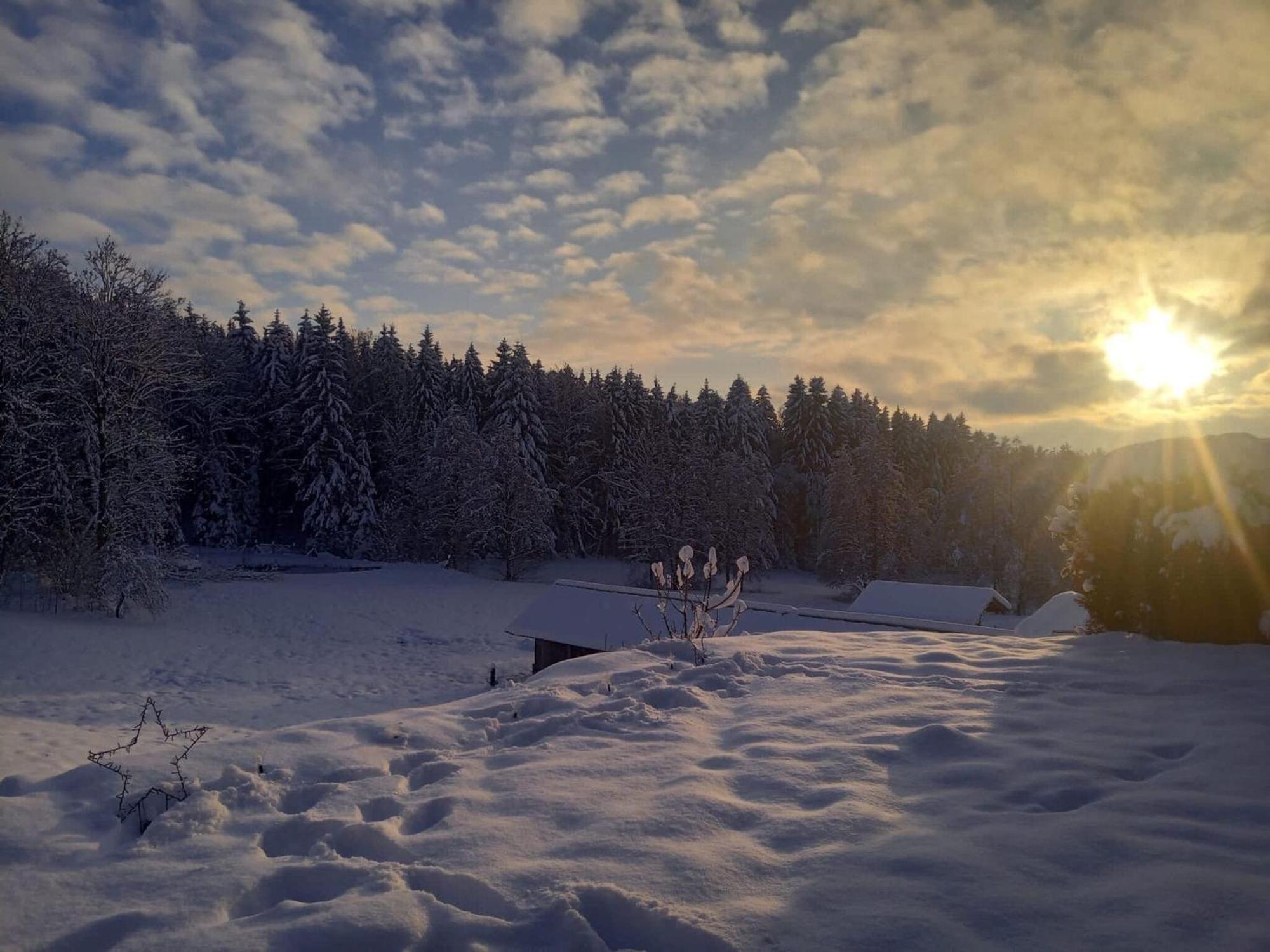 Ferienwohnung Im Bayerischen Wald Mit Terrasse Viechtach Exterior foto